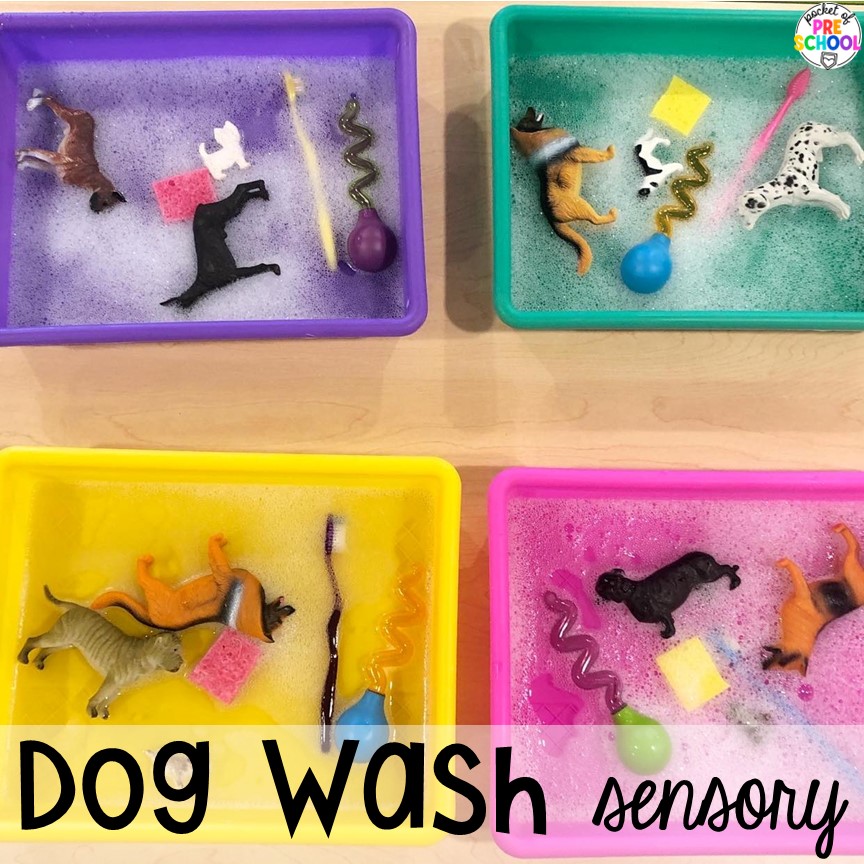 Dog wash sensory bin play for a pet theme! Check out more water sensory table ideas for fun all-year long in the preschool, pre-k, or kindergarten classroom.