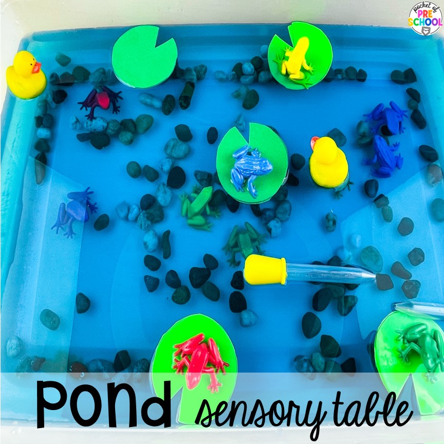 Pond sensory bin with water! Water Sensory Table Ideas for preschool, pre-k, and kindergarten students to explore, develop muscles, & increase their problem solving skills.