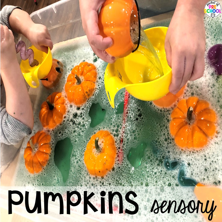 Pumpkin sensory table with real pumpkins and tools! Water Sensory Table Ideas for preschool, pre-k, and kindergarten students to explore, develop muscles, & increase their problem solving skills.
