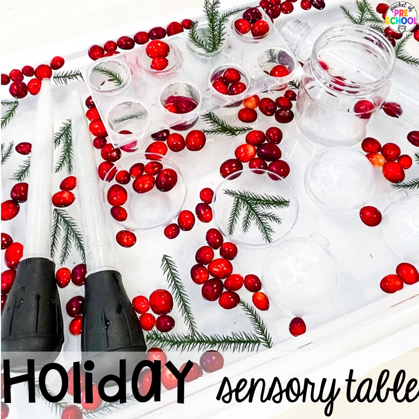 Cranberry holiday sensory bin idea! Perfect for Christmas time.  Check out these water sensory table ideas for fun all-year long in the preschool, pre-k, or kindergarten classroom.