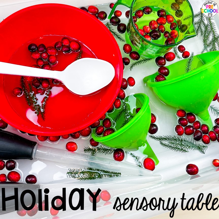 Cranberry holiday sensory bin idea! Perfect for Christmas time. Water Sensory Table Ideas for preschool, pre-k, and kindergarten students to explore, develop muscles, & increase their problem solving skills.