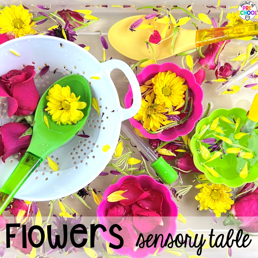 Real flowers in the sensory bin for spring, summer, or a plants theme! Check out these water sensory table ideas for fun all-year long in the preschool, pre-k, or kindergarten classroom.