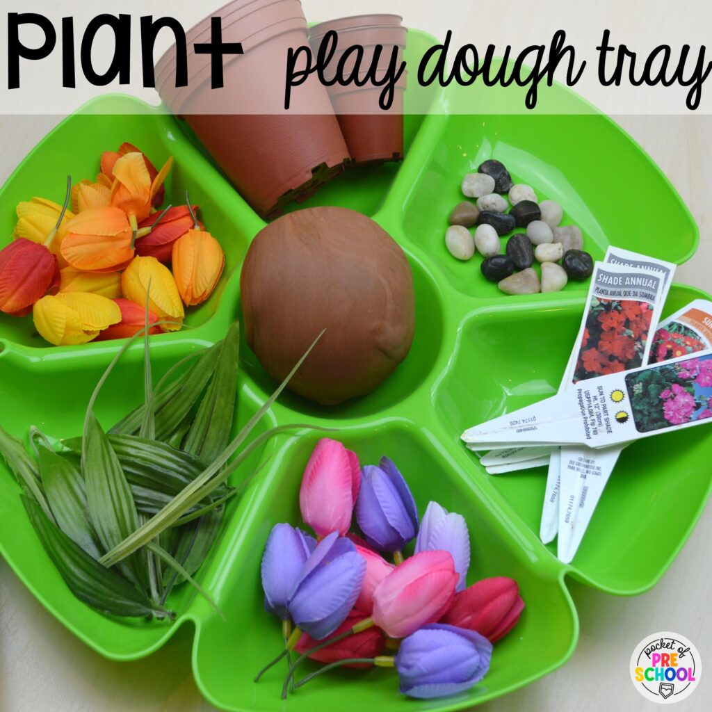 Plant play dough tray to learn about life cycles and plant life. Check out over 50 play dough trays for preschool, pre-k, and kindergarten students.