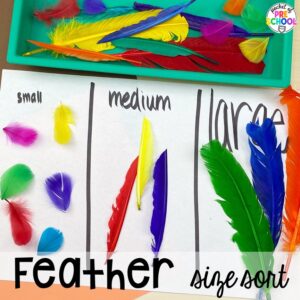 Feather size sorting activity plus 16 Fall Butcher Paper Activities for preschool, pre-k, and kindergarten students to develop math, literacy, and fine motor skills.