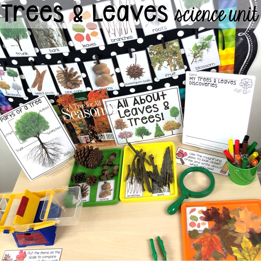 Trees and leaves science unit plus Fall math, literacy, fine motor, art, sensory, and dramatic play activities for your preschool, pre-k, and kindergarten classroom.