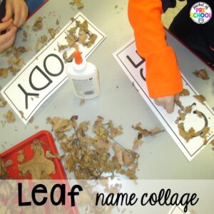Leaf name collage plus Fall math, literacy, fine motor, art, sensory, and dramatic play activities for your preschool, pre-k, and kindergarten classroom.
