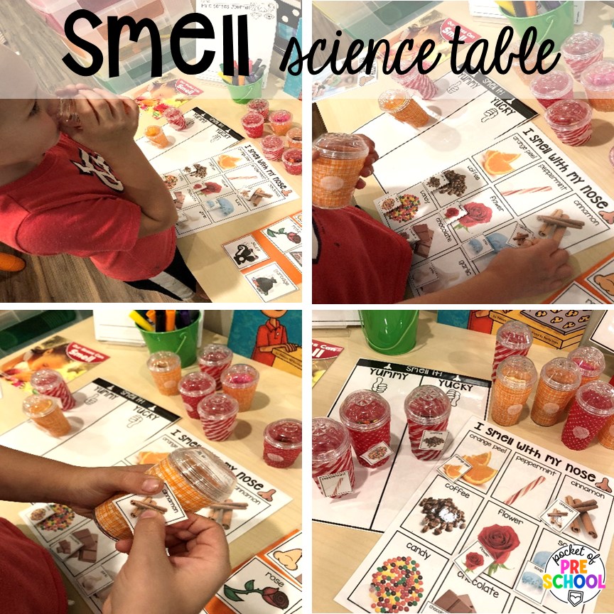 Smell science table! Explore 28 hands-on 5 senses activities and centers for preschool, pre-k, and kindergarten students.