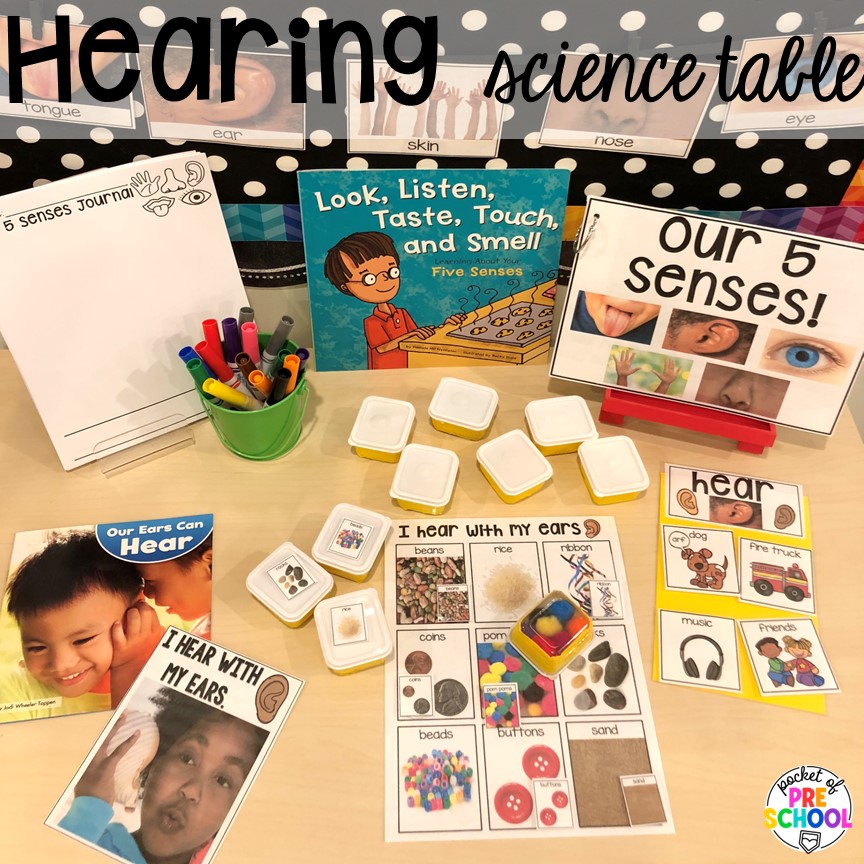 Hearing science table! Explore 28 hands-on 5 senses activities and centers for preschool, pre-k, and kindergarten students.