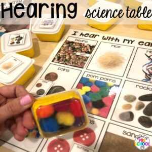 Hearing science table! Explore 28 hands-on 5 senses activities and centers for preschool, pre-k, and kindergarten students.