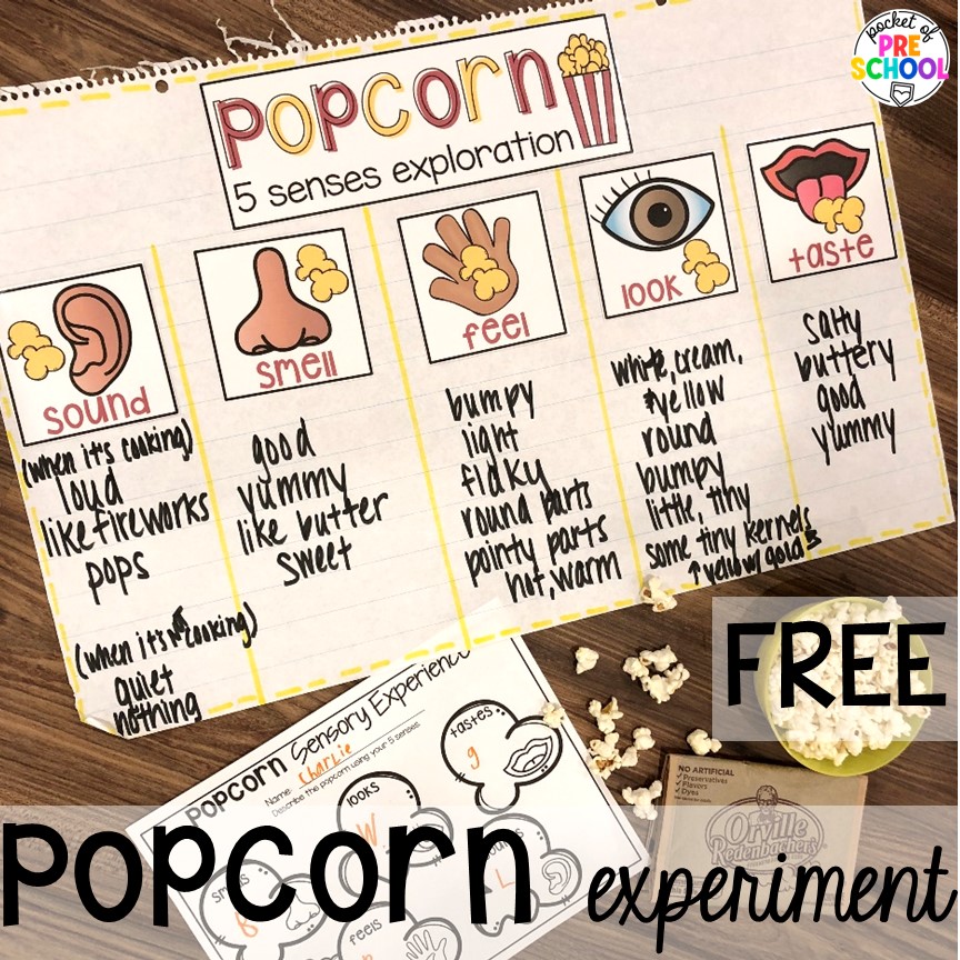 Popcorn experiment FREEBIE! Explore 28 hands-on 5 senses activities and centers for preschool, pre-k, and kindergarten students.