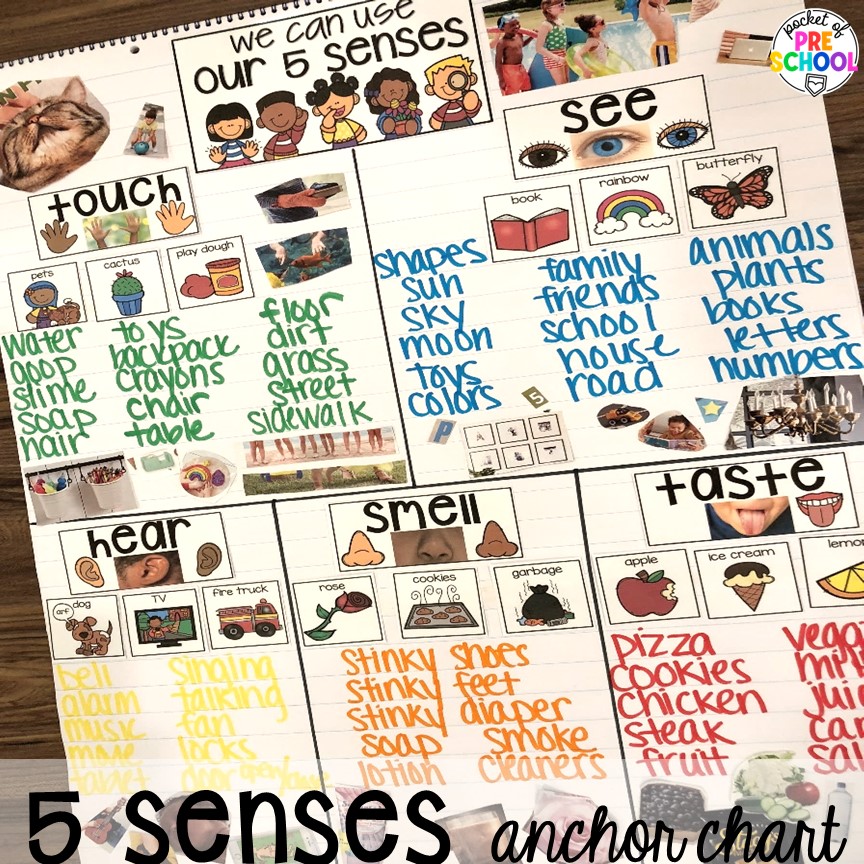 5 senses anchor chart! Explore 28 hands-on 5 senses activities and centers for preschool, pre-k, and kindergarten students.