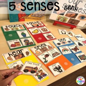 5 senses sort! Explore 28 hands-on 5 senses activities and centers for preschool, pre-k, and kindergarten students.