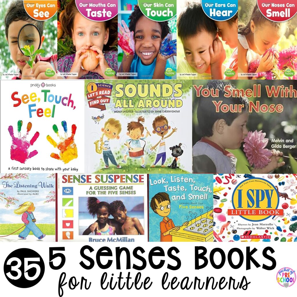 5 senses books for preschool, pre-k, or kindergarten students to explore and learn about their 5 senses and their bodies.