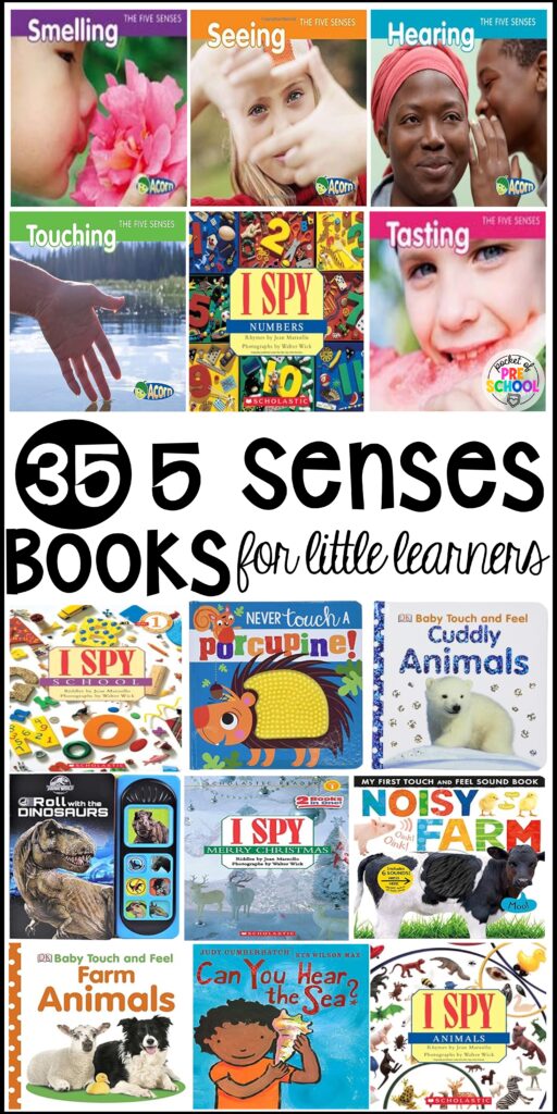 5 senses books for preschool, pre-k, or kindergarten students to explore and learn about their 5 senses and their bodies. 