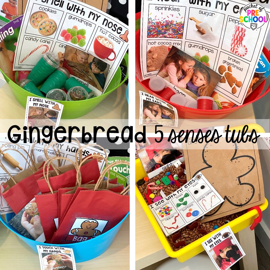 Gingerbread 5 senses tubs and more ideas for a science unit all about gingerbread! It is the perfect theme during the holidays in a preschool, pre-k, and kindergarten classroom.