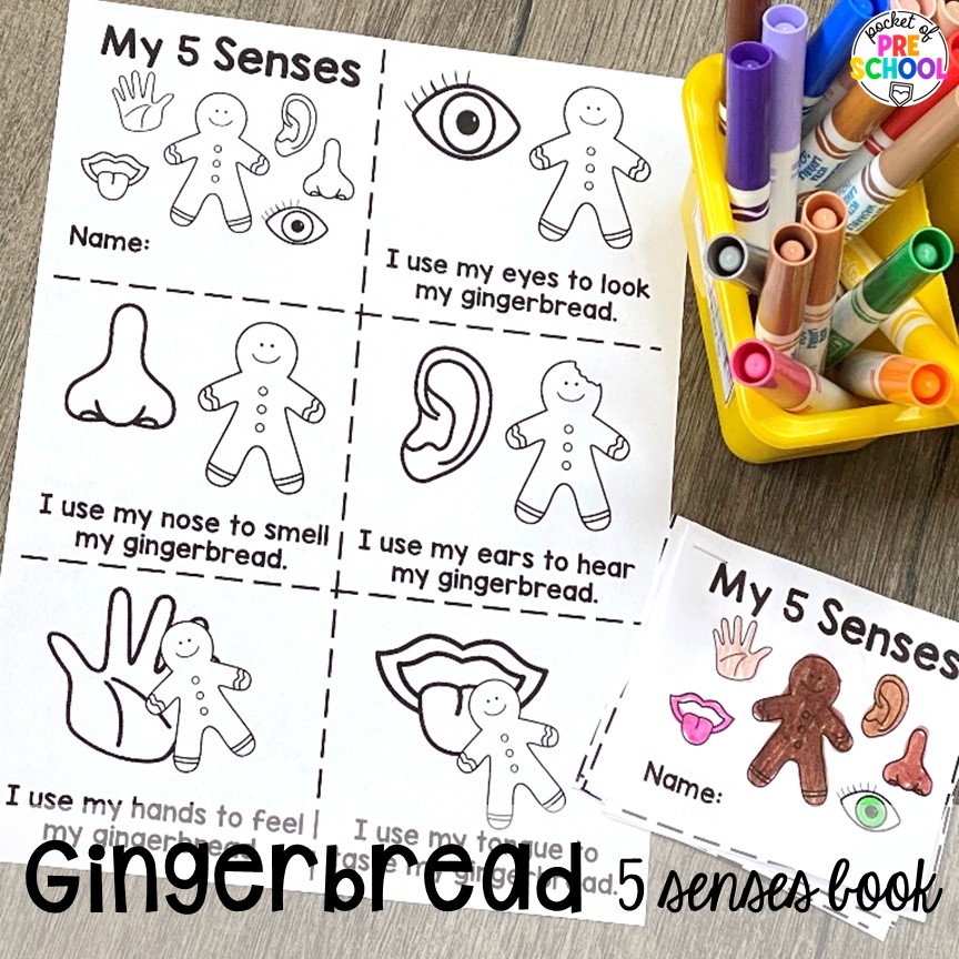 Gingerbread 5 senses book and more ideas for a science unit all about gingerbread! It is the perfect theme during the holidays in a preschool, pre-k, and kindergarten classroom.