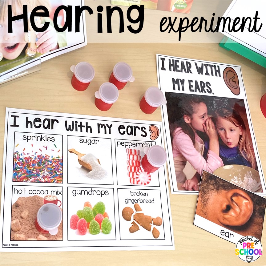 Hearing experiment and ideas for a science unit all about gingerbread! It is the perfect theme during the holidays in a preschool, pre-k, and kindergarten classroom.