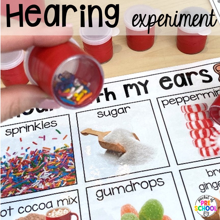 Hearing experiment and ideas for a science unit all about gingerbread! It is the perfect theme during the holidays in a preschool, pre-k, and kindergarten classroom.
