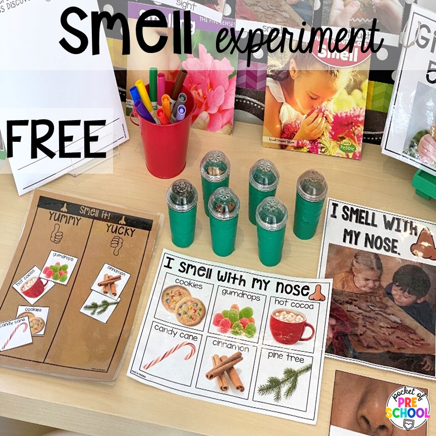 Smell experiment and ideas for a science unit all about gingerbread! It is the perfect theme during the holidays in a preschool, pre-k, and kindergarten classroom.