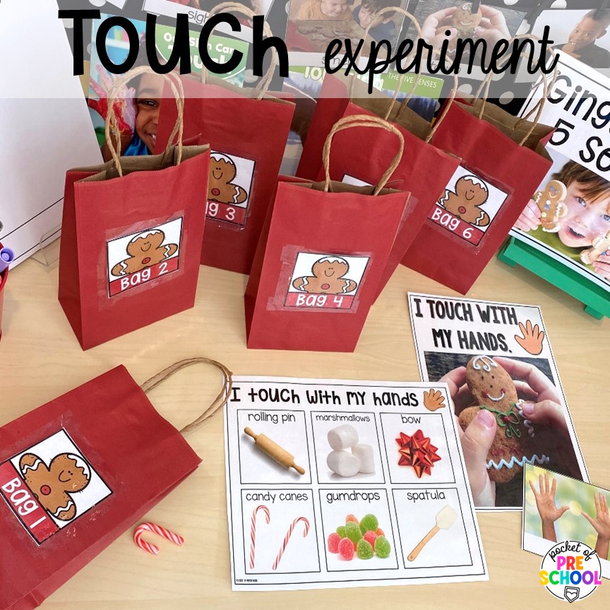 Touch experiment and ideas for a science unit all about gingerbread! It is the perfect theme during the holidays in a preschool, pre-k, and kindergarten classroom.