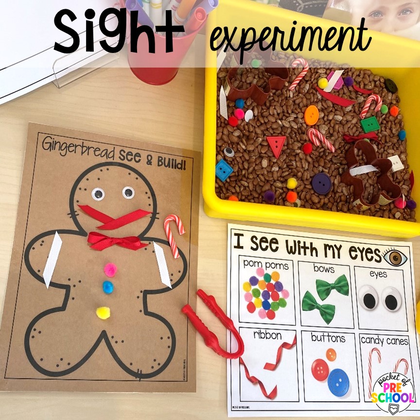 Sight experiment and ideas for a science unit all about gingerbread! It is the perfect theme during the holidays in a preschool, pre-k, and kindergarten classroom.