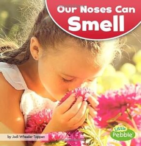 our noses can smell