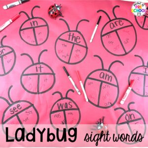Ladybug sight words plus more ideas for your spring butcher paper activities for math, literacy, and writing skills for preschool, pre-k, and kindergarten students.