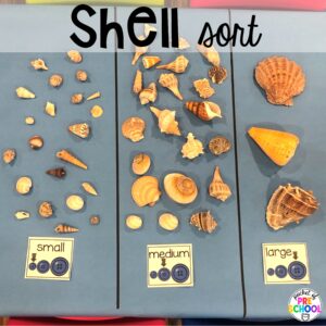 Shell sort plus more summer butcher paper activities for literacy, math, and fine motor for preschool, pre-k, and kindergarten.