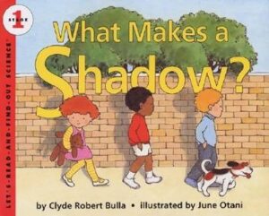 what makes a shadow