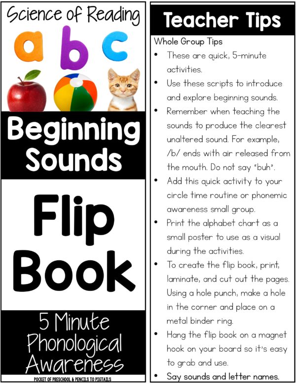 Onset & Beginning Sounds Flip Book (Science of Reading) - Pocket of ...
