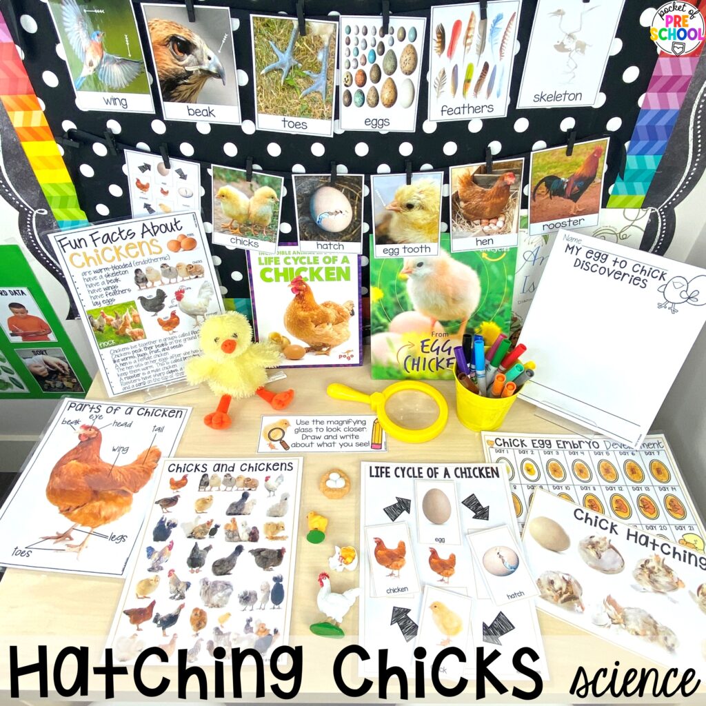 Hatching chicks science plus more Easter-themed centers and activities that are sure to egg-cite your preschool, pre-k, and kindergarten students!