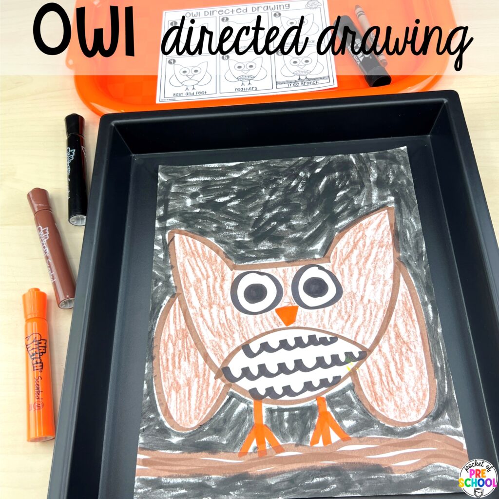 Owl directed drawing plus more animal directed drawings and how to use them in your preschool, pre-k, and kindergarten classroom.