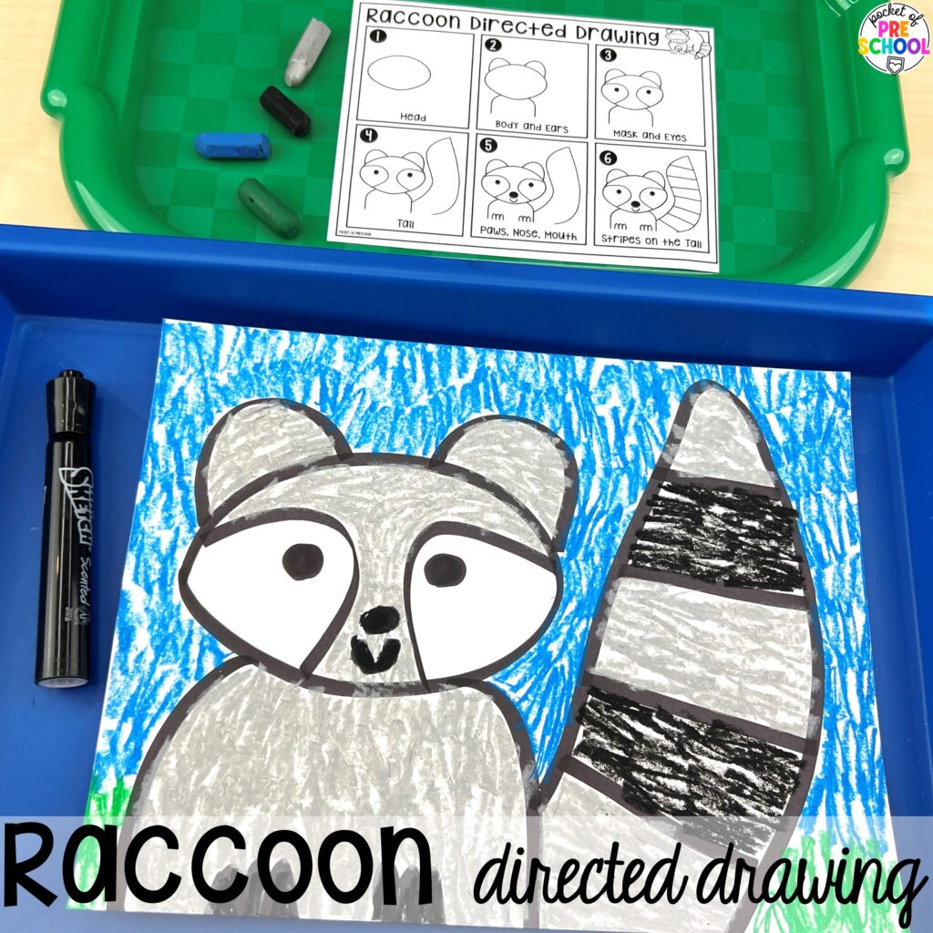 Raccoon directed drawing plus more animal directed drawings and how to use them in your preschool, pre-k, and kindergarten classroom.