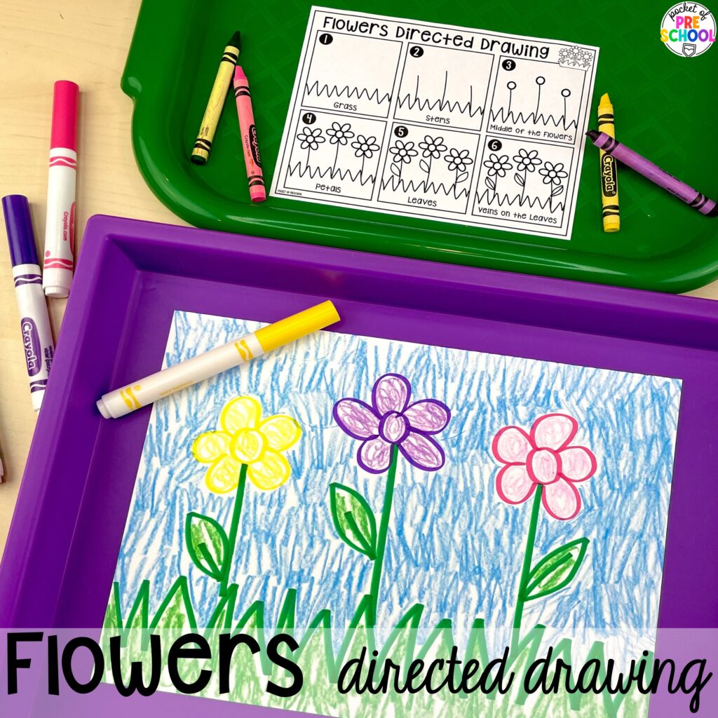 Flowers directed drawing plus more spring directed drawings and how to use them in your preschool, pre-k, and kindergarten classroom.