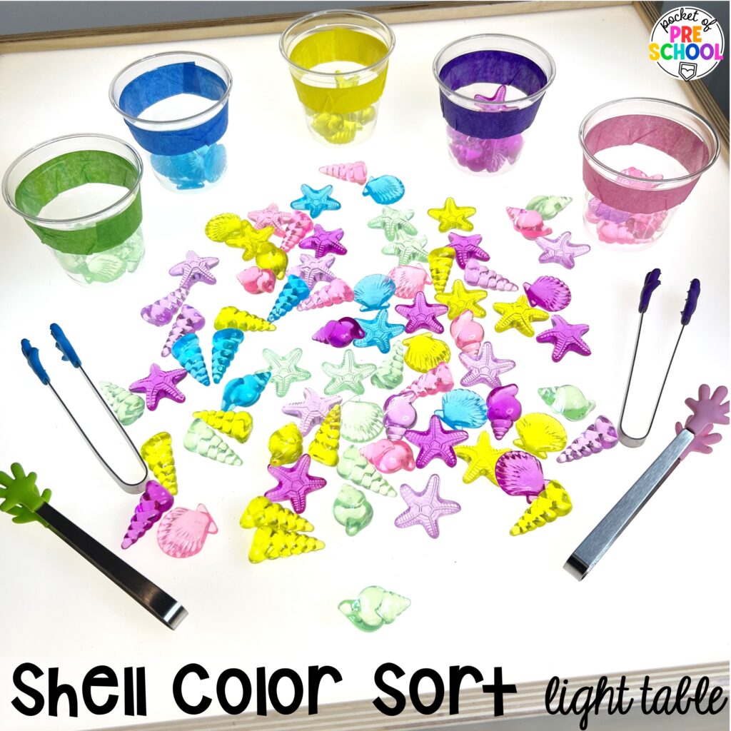 Shell color sort light table plus more summer light table activities for preschool, pre-k, and kindergarten students. Ideas for math, literacy, fine motor, and STEM.