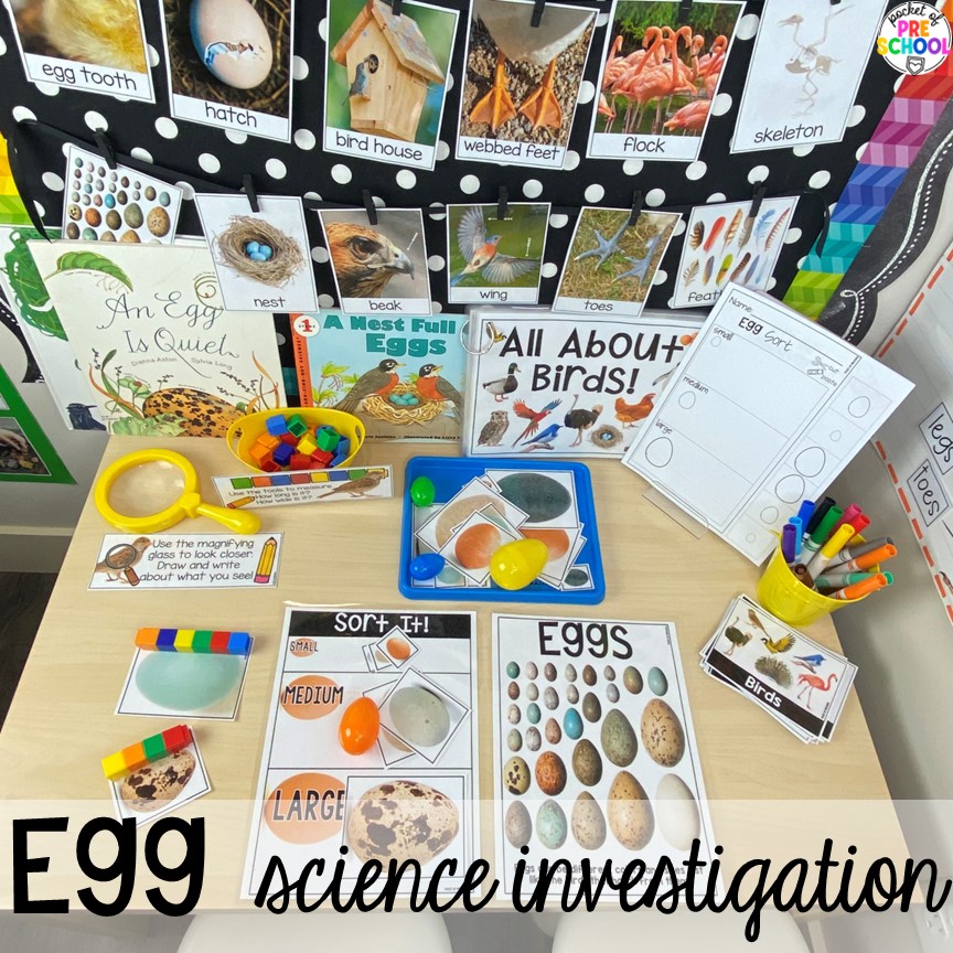 Egg science investigation at the science table for a bird theme, Easter theme, or farm theme. 