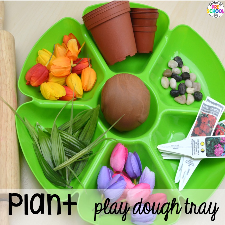 Plant Play Dough Tray! Plant activities for preschool, pre-k, and kindergarten students to learn and grow this spring or summer.