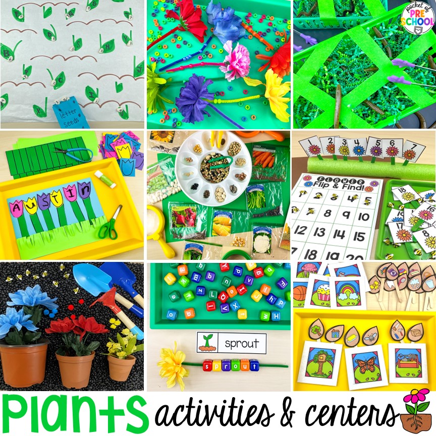 Plants Activities and Centers for Preschool, Pre-K, or Kindergarten students
