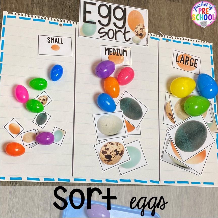 Egg sorting using plastic eggs and real photographs of eggs. Fun for a bird, Easter, or farm theme in a preschool, pre-k, or kindergarten classroom.
