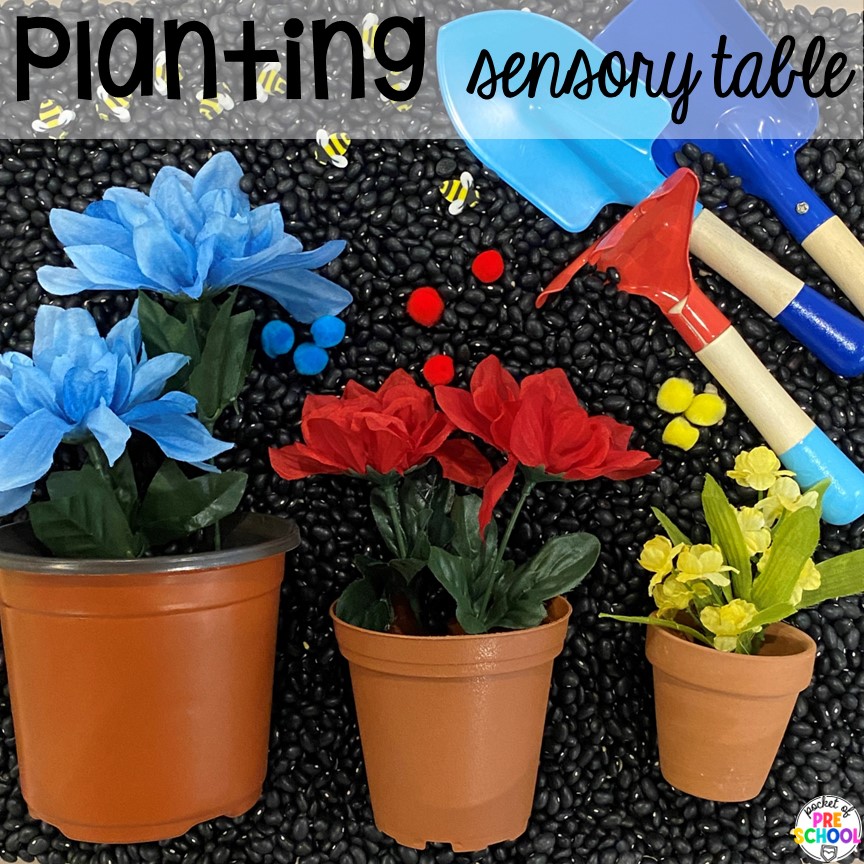 Planting Sensory Table! Plant activities for preschool, pre-k, and kindergarten students to learn and grow this spring or summer.