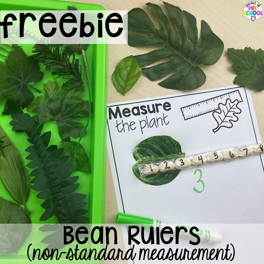 Plant measure freebie! The perfect activities for a plant or spring theme for preschool, pre-k, and kindergarten students.