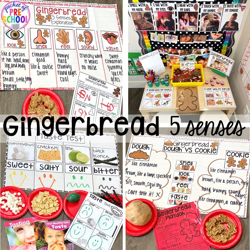 Gingerbread 5 senses science activities! My go to Christmas themed math, writing, fine motor, sensory, reading, and science activities for preschool and kindergarten.