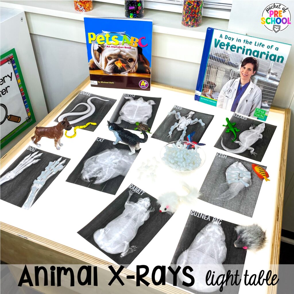 Animal x-rays light table! Pet themed activities and centers (freebies too) for preschool, pre-k, and kindergarten (math, writing, letters, rhyme, sensory, art, blocks, STEM, dramatic play).