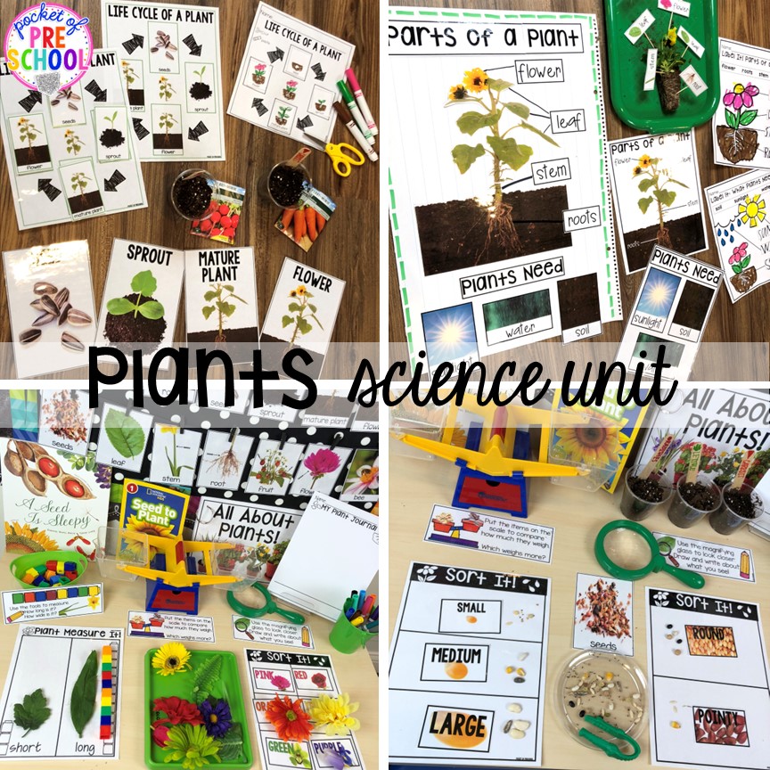 Plants science unit! Favorite Fairy Tales activities for every center plus a shape crown freebie all designed for preschool, pre-k, and kindergarten #fairytalestheme #preschool #prek #kindergarten