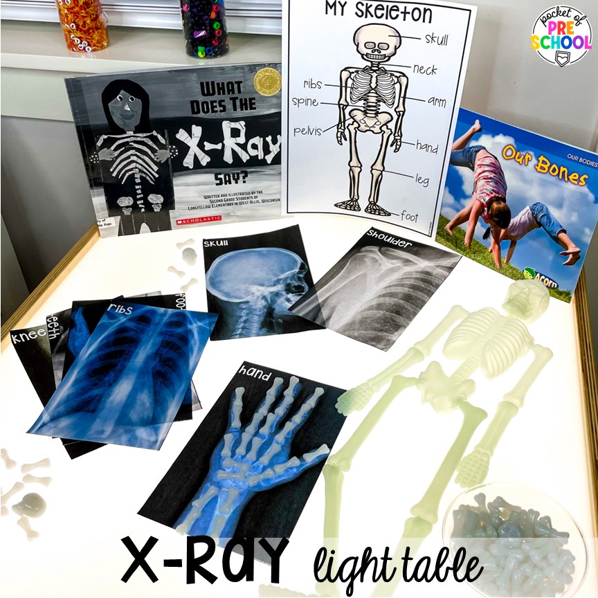 X-ray light table! My body science table! My Body themed centers and activities FREEBIES too! Preschool, pre-k, and kindergarten kiddos will love these centers.