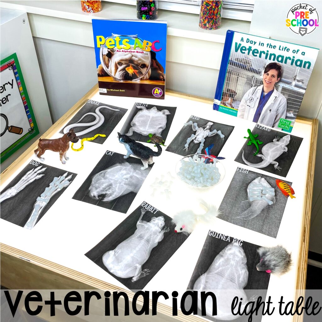 Veterinarian light table! 15 community helper light table ideas for preschool, pre-k, and kindergarten students to practice math, literacy, & STEM skills.