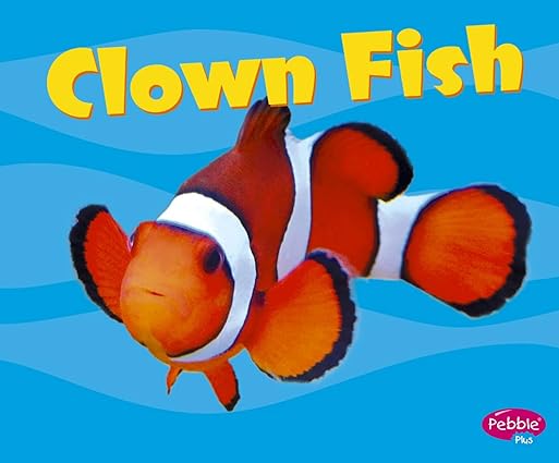 Pirate Books for Little Learners (Mermaids Too) 25 Pirate books to explore the ocean, treasure, and mermaids with your preschool, pre-k, or kindergarten students.