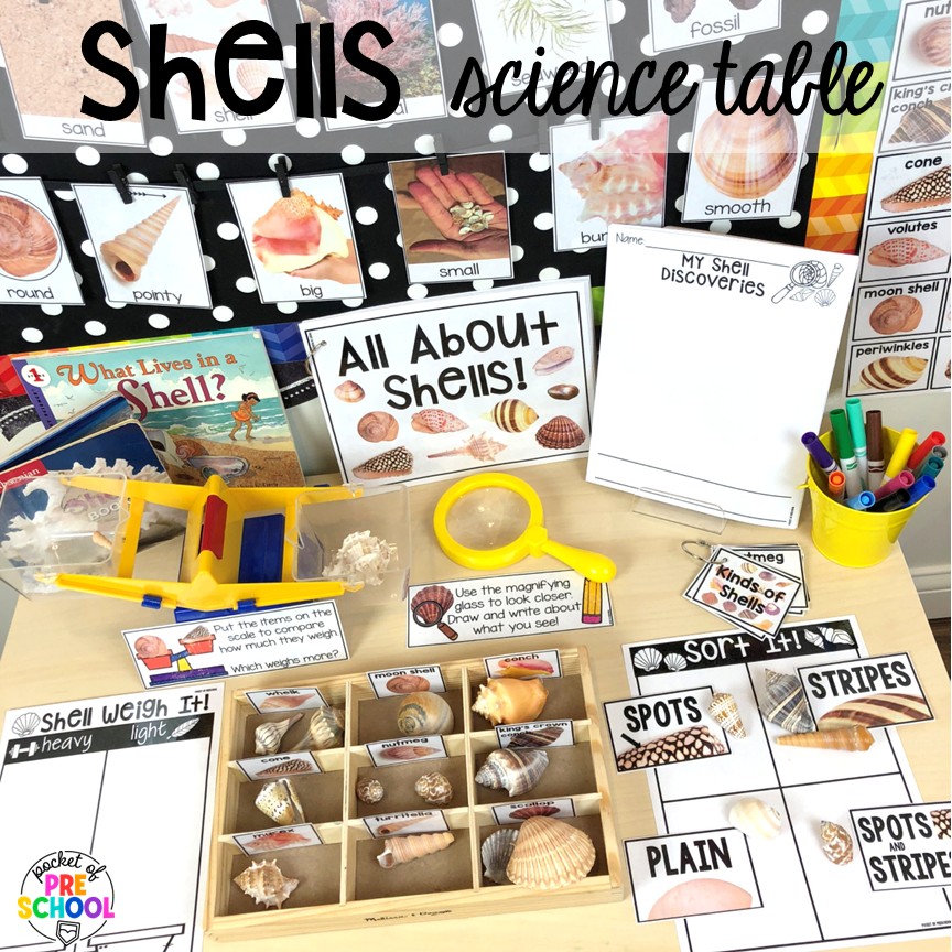 Pirate Activities for Preschool, Pre-K, and Kindergarten 31 Shells science table! Pirate activities for preschool, pre-k, and kindergarten students- ideas for literacy, math, science, fine motor, art, and more! These pirate and mermaid centers are perfect for a fun, summer theme!