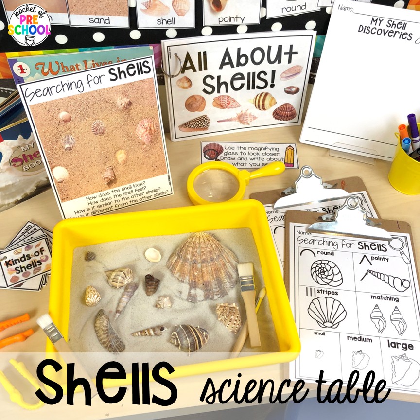 Pirate Activities for Preschool, Pre-K, and Kindergarten 32 Shells science table! Pirate activities for preschool, pre-k, and kindergarten students- ideas for literacy, math, science, fine motor, art, and more! These pirate and mermaid centers are perfect for a fun, summer theme!