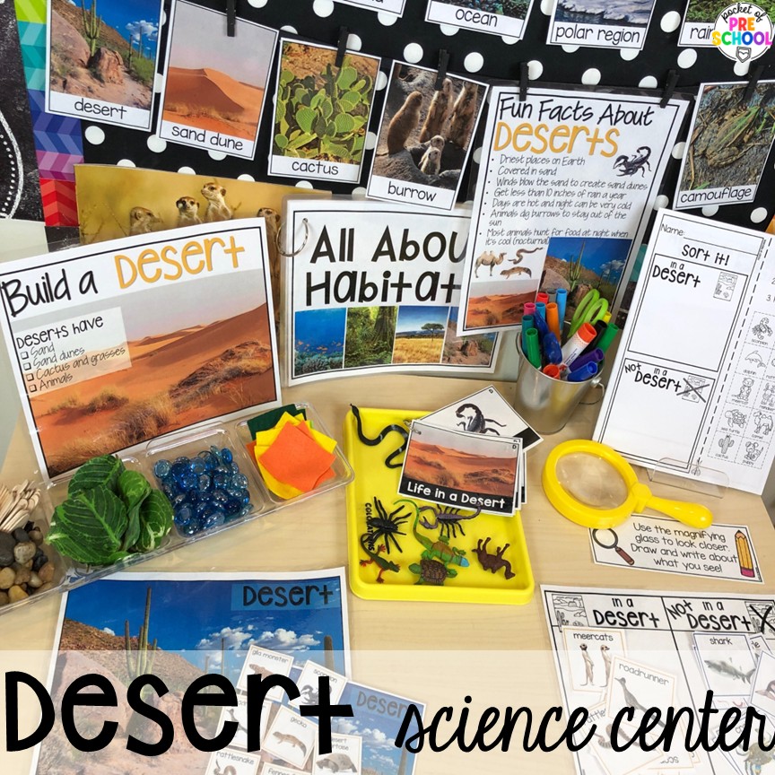 Cowboy Activities & Centers for Preschool, Pre-k, and Kindergarten 27 Desert science center! Cowboy activities & centers for a Western theme with your preschool, pre-k, and kindergarten students.